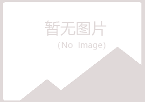 河池曹操水泥有限公司